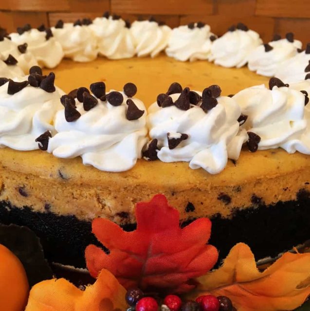 Pumpkin Chocolate Chip Cheesecake Norine S Nest