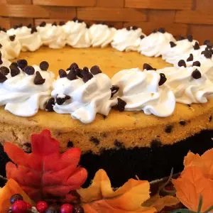 Pumpkin Chocolate Chip Cheesecake