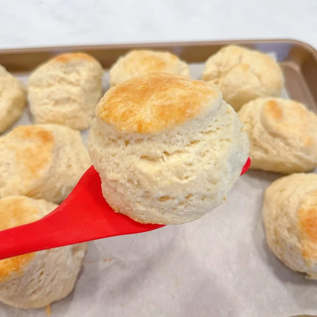 Biscuit on a spatula suspended in the air.