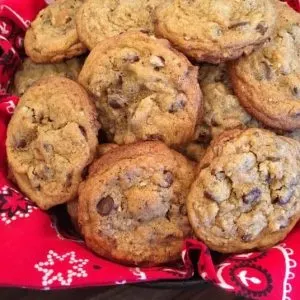 Big pile of chocolate chip cookies