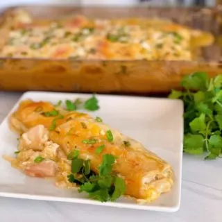 One Chicken Enchilada on a white plate with a pan filled with more chicken enchiladas in the background.