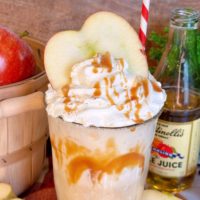 Close-up photo of apple cider float.